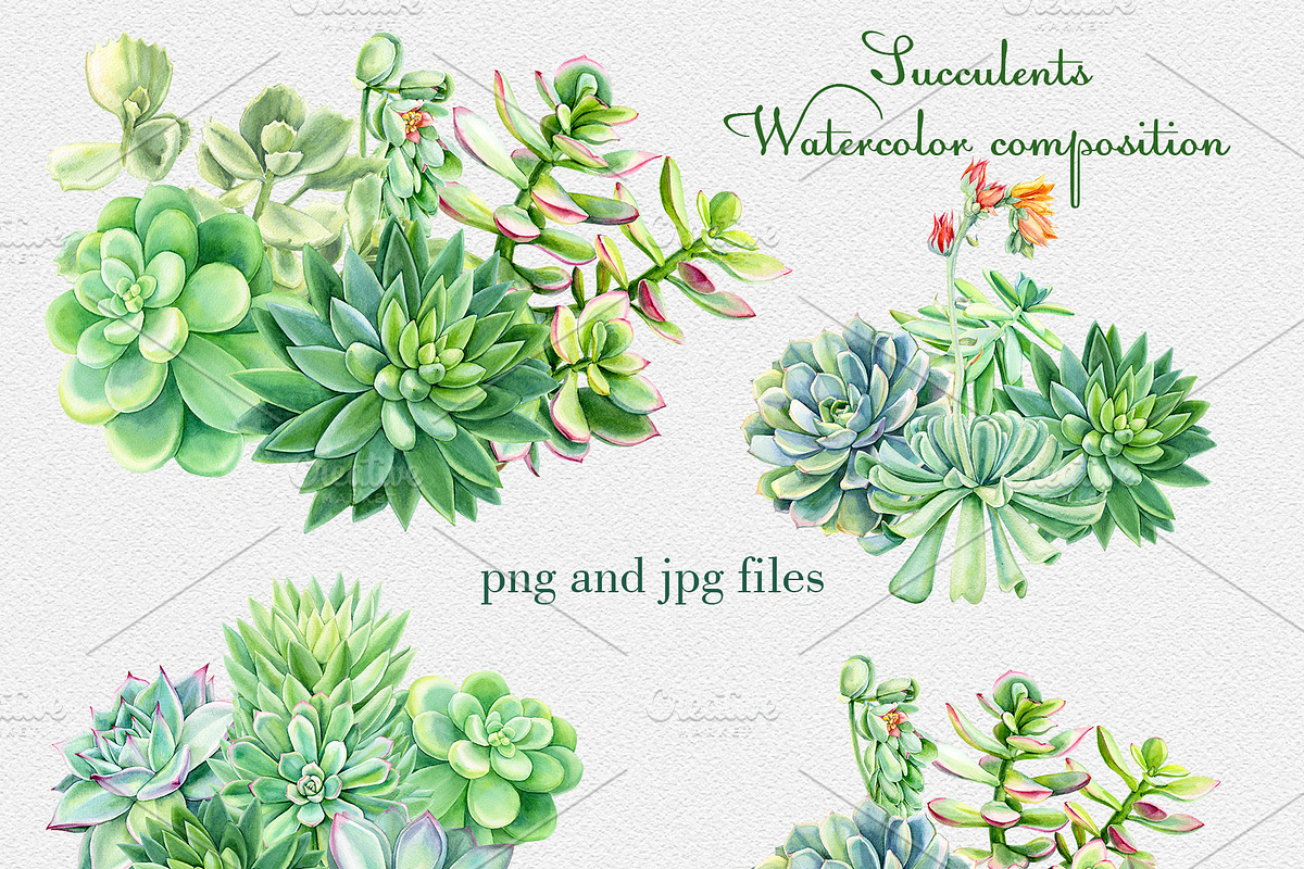 Watercolor Green plants, a Decorative Illustration by Hanna Hryharenka (Photo 6 of 11)