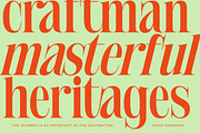 Delivery Feedback Modern Serif, a Serif Font by timelesstype.co (Thumbnail 7 of 20)