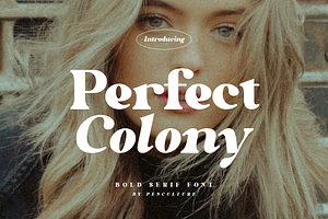 Perfect Colony // Bold Serif Font