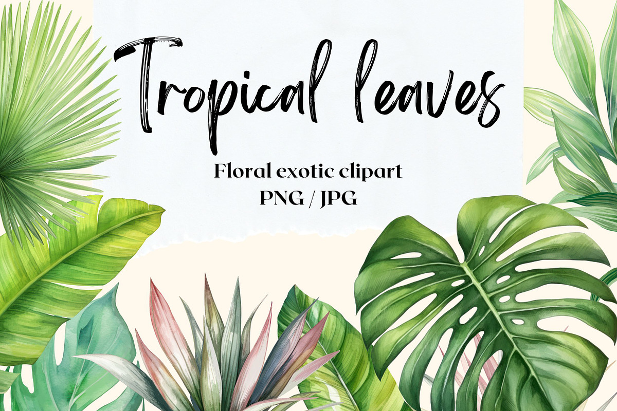 Tropical leaves patterns and element, a Decorative Illustration by irina.vaneeva (Photo 1 of 11)
