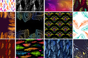 16 Feathers set., a Pattern Graphic by redstudio (Thumbnail 2 of 5)
