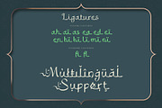 Bahlull Arabic Typeface, a Serif Font by alit design (Thumbnail 10 of 17)