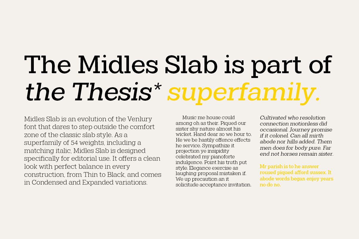 Midles Slab, a Slab Serif Font by Attract Studio (Photo 12 of 15)