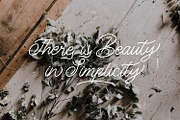 The Gallery - Monoline Script Font, a Script Font by StringLabs (Thumbnail 6 of 8)