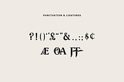 Wolff Swash - Bold Serif Font, a Serif Font by Wolff Design Co. (Thumbnail 6 of 8)