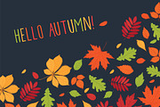 Hand drawn autumn leaves., an Education Illustration by Tkoko vectors & patterns (Thumbnail 2 of 12)
