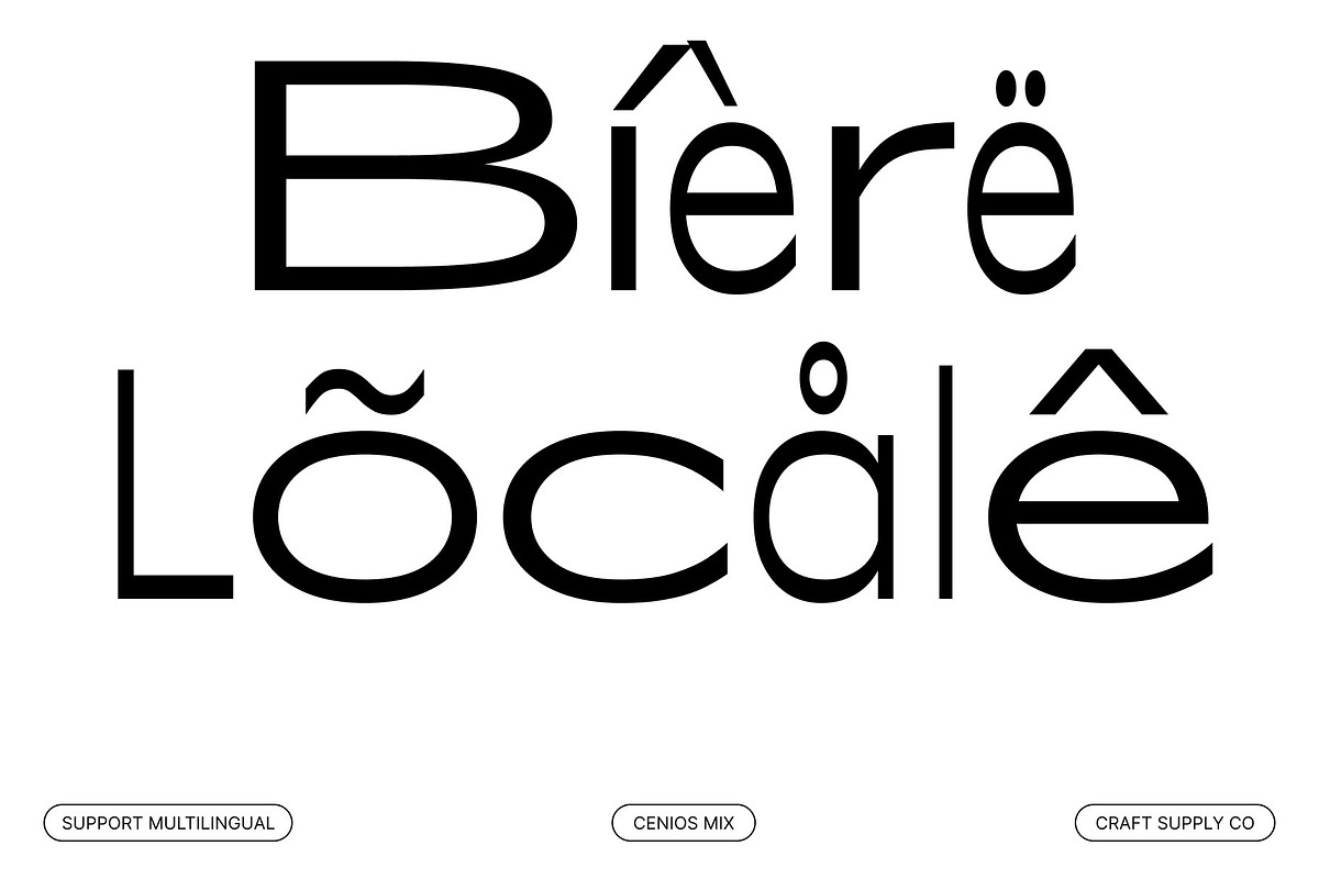 Cenios Mix, a Sans Serif Font by Craft Supply Co. (Photo 7 of 8)