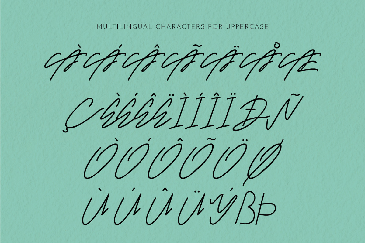 Mr. Skywhale Signature Script Font, a Handwritten Font by ashenterprise (Photo 15 of 16)