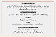 Sinatra | Monoline Signature, a Script Font by Lemonthe (Thumbnail 9 of 9)