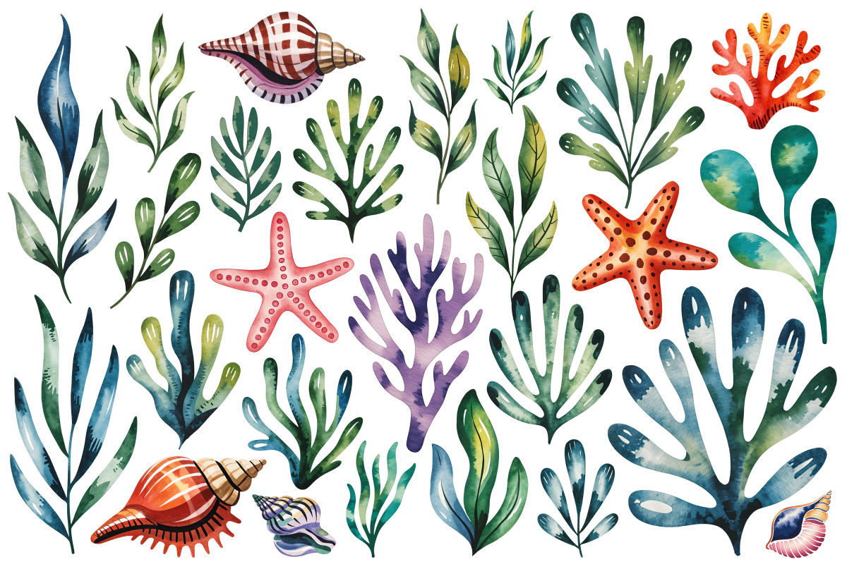 Watercolor Sea Shells & Coral Set, an Object Illustration by Whimsy Brush Studio (Photo 8 of 9)