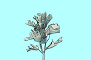 Beautiful Low Poly Tree 02, a Scene 3D Model by Tedi Permana (Thumbnail 3 of 4)