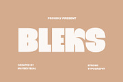 Bleks Display font, a Serif Font by maybefont (Thumbnail 1 of 10)