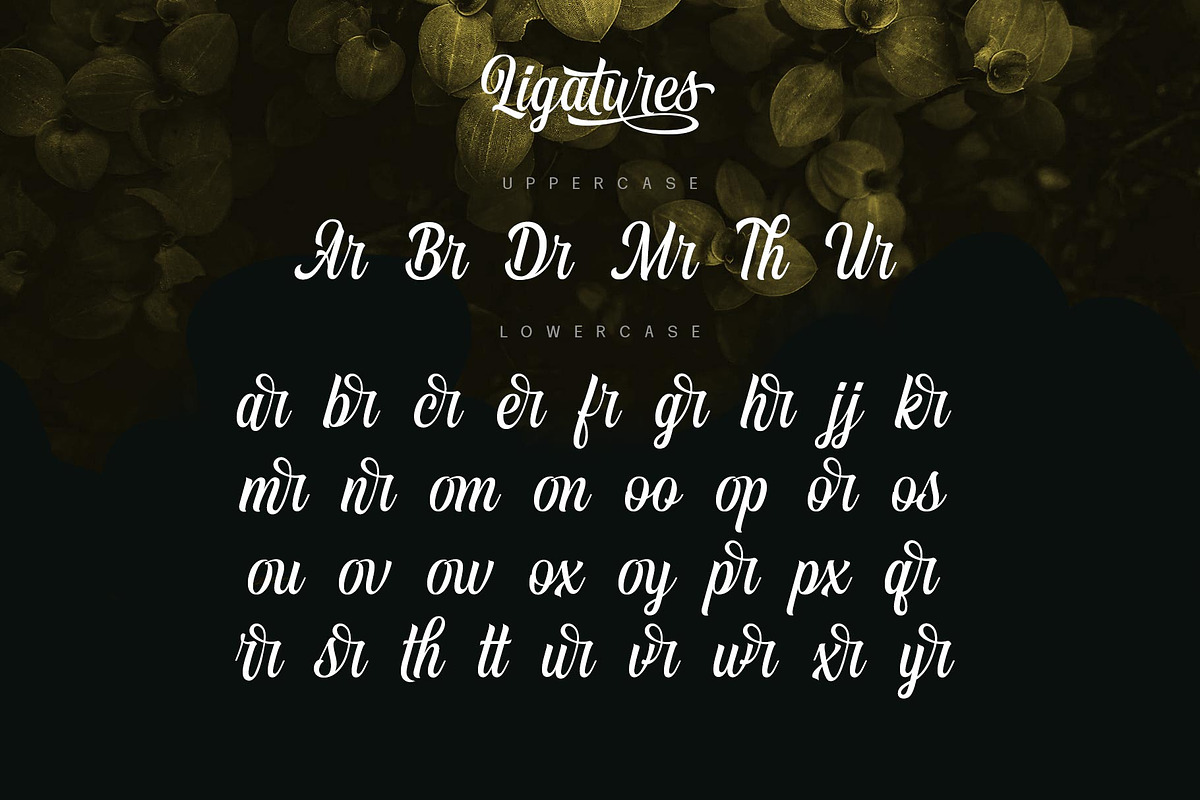 Vontgod Typeface, a Script Font by alit design (Photo 10 of 18)