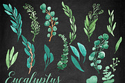 Watercolor Leaves Clipart Eucalyptus, an Illustration by Essem Creatives (Thumbnail 3 of 3)