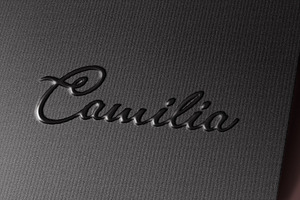 Logotype Mockup, a Merchandise Mockup by ZippyPixels