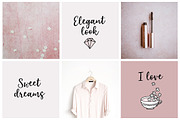 Elderflower script font + logos, a Script Font by Tabita's shop (Thumbnail 2 of 15)