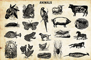 Vintage Newspaper Creator, a Brushes & More by The Artifex Forge (Thumbnail 17 of 23)