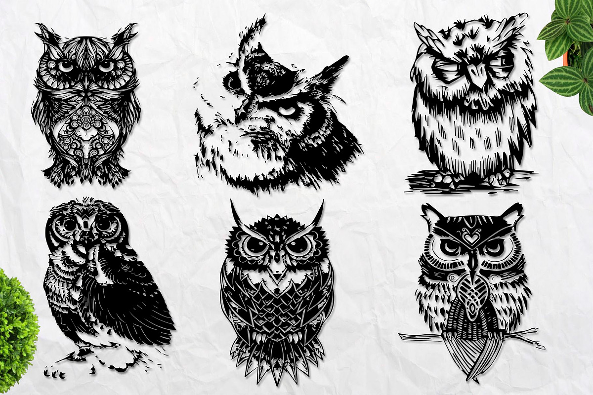 Wild owls. 22 graphic illustrations, an Illustration by AnastasiyaOleynik (Photo 2 of 4)