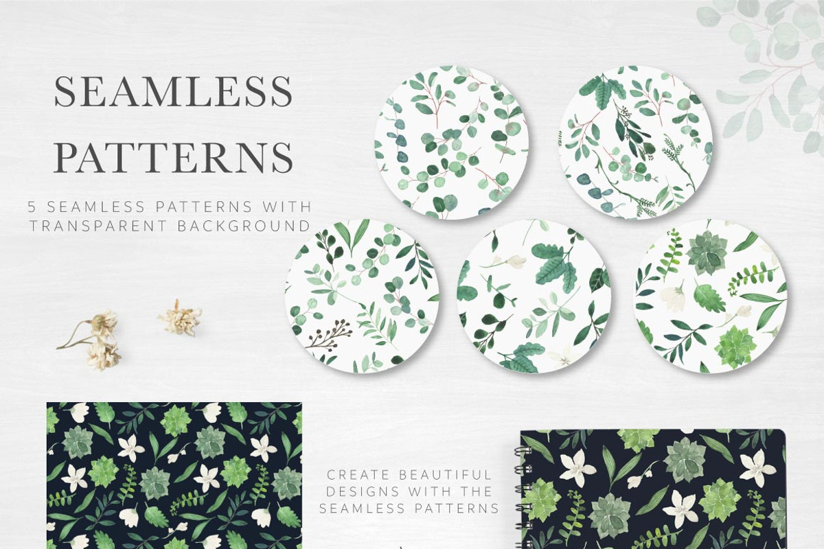 Modern Botanicals Florals & Leaves, an Illustration by Momo Studio (Photo 7 of 15)