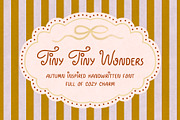 Tiny Wonders Handwritten Font, a Handwritten Font by Lanastace Studio (Thumbnail 1 of 10)