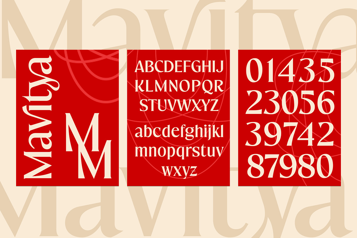 Mavitya, a Serif Font by Dora Typefoundry (Photo 8 of 12)