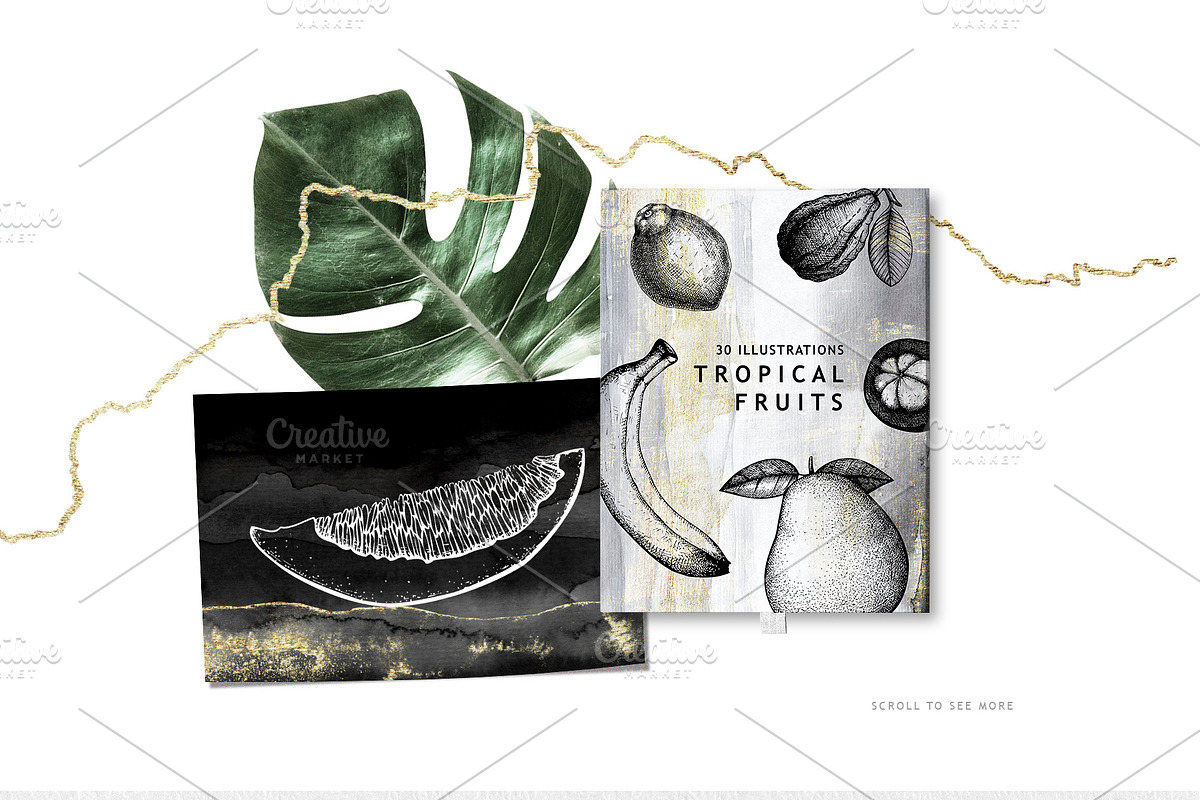 BUNDLE. Tropical Plants & Animals, an Object Graphic by Yevheniia (Photo 4 of 8)