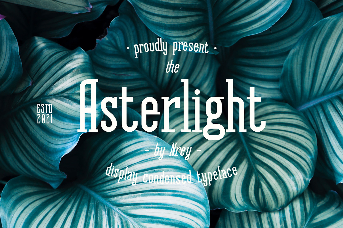 Asterlight typeface, a Serif Font by NREY (Photo 8 of 8)