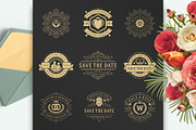 230 Wedding Overlays and Titles, an Invitation Template by Vasya Kobelev (Thumbnail 22 of 47)