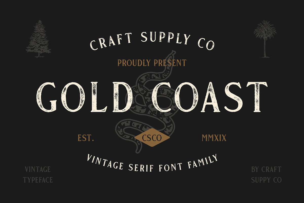 Gold Coast - Vintage Serif + Extras, a Serif Font by Craft Supply Co. (Photo 10 of 10)