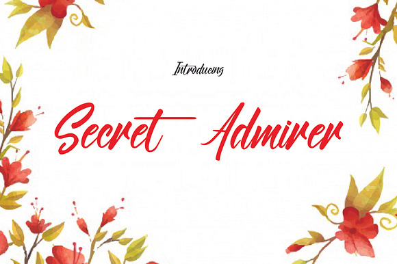 Secret Admirer preview 7