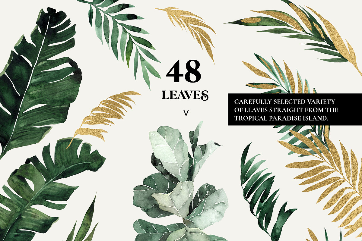 -60% TROPICAL GREENERY green gold, an Illustration by Lana Elanor (Photo 3 of 8)