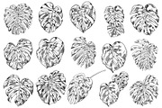 Green MONSTERA Leaves, an Illustration by Tanya Akhmett (Thumbnail 4 of 8)