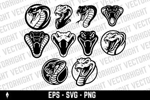 Illustrations of poisonous snakes, an Animal Illustration by Vectorhight