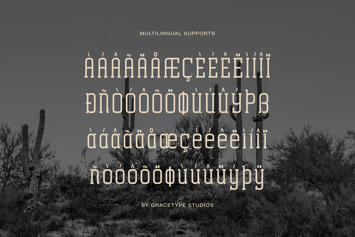 Archives Classic | Slab Serif Font, a Slab Serif Font by gracetype_studio (Photo 11 of 12)