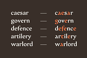 Serat | Flared Serif Family, a Serif Font by Wahyu & Sani Co. (Thumbnail 6 of 15)