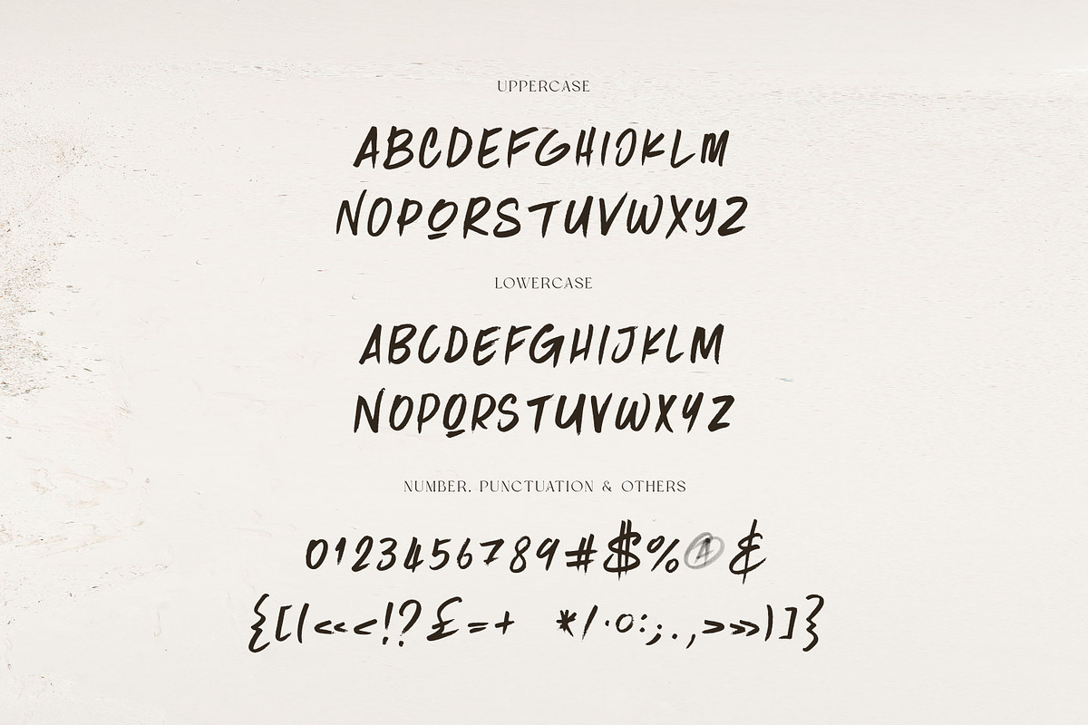 Tokyo Brush & SVG Font, a Handwritten Font by Cruzine (Photo 5 of 7)