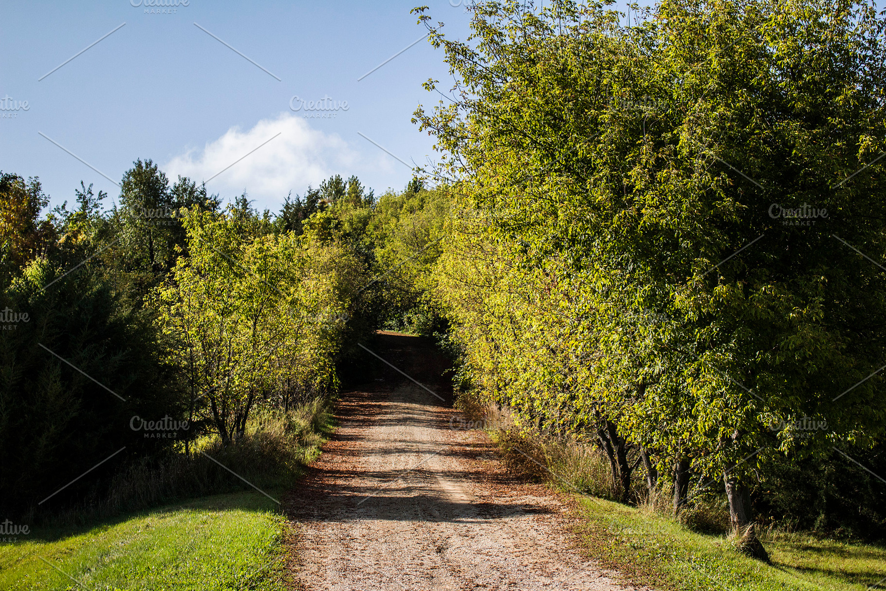 Country road featuring road, dirt road, and lane, a Nature Photo by pixelumina