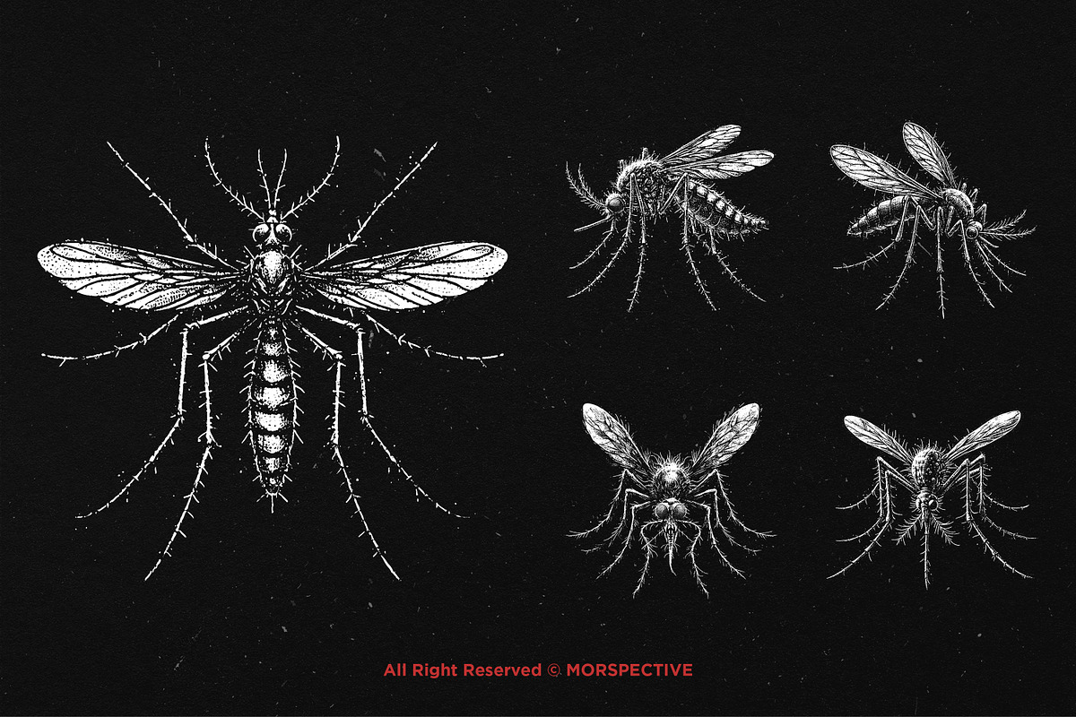 10 Bundle Dark Art Mosquito Insect, an Illustration by Morspective (Photo 3 of 7)