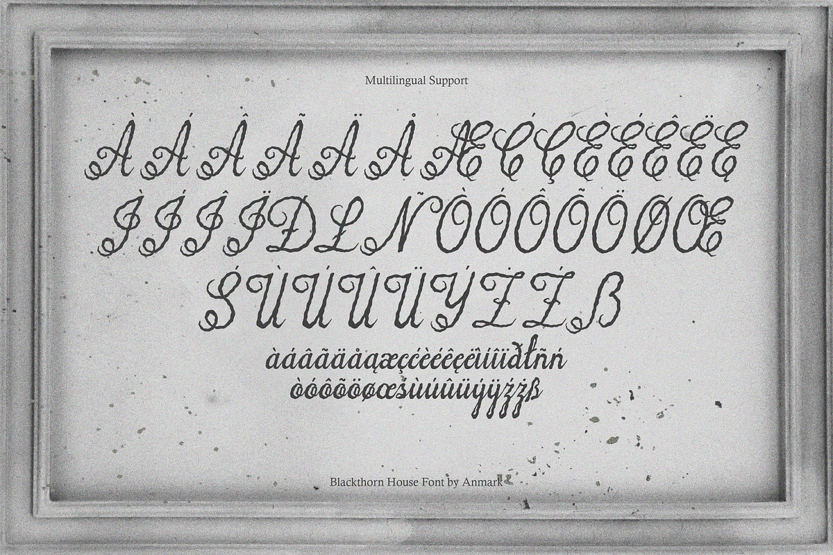 Blackthorn House Vintage Gothic Font, a Script Font by AnMark (Photo 9 of 10)