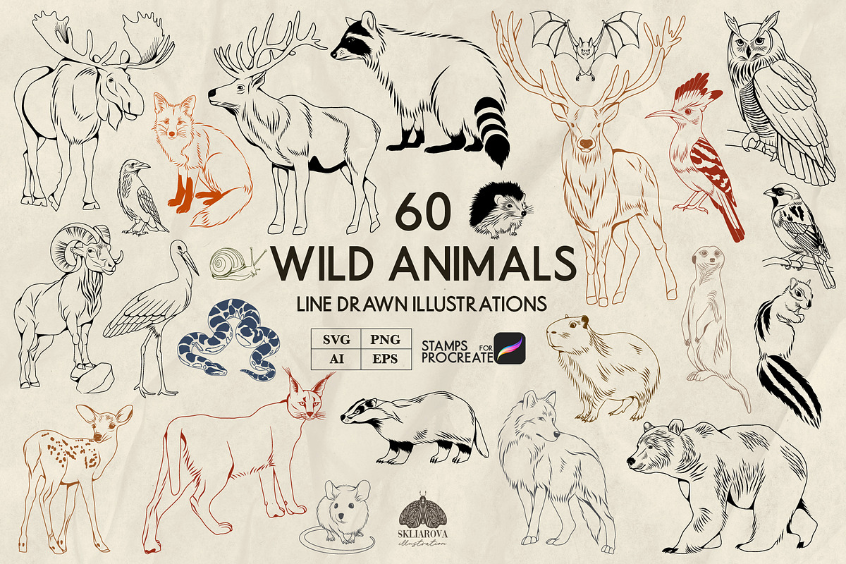 Wild Animals Line Art + Procreate, an Animal Illustration by Skliarova (Photo 1 of 4)