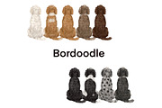 Watercolor Dog Clipart. Dog Breeds, an Animal Illustration by ColorfulPT (Thumbnail 5 of 8)