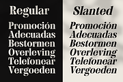 MTC Granfise - A Unique Serif, a Serif Font by Martype (Thumbnail 10 of 12)