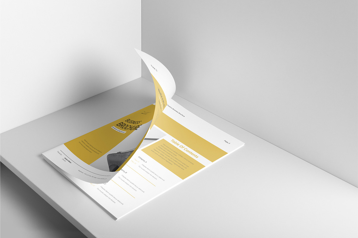 Business Brochure Template preview 4