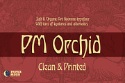 Orchid - Vintage Art Nouveau Font, a Font by Paper Moon Graphic Supply (Thumbnail 1 of 11)