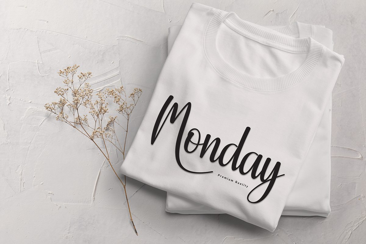 Quality Modern | Script Font, a Handwritten Font by Scratchones (Photo 5 of 9)