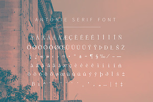 Antonie Classic Serif Font