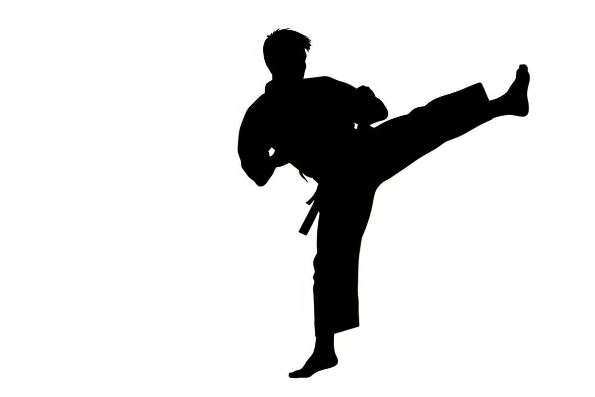 Dynamic martial arts kick silhouette, an Illustration by Amazin_art (Photo 2 of 36)