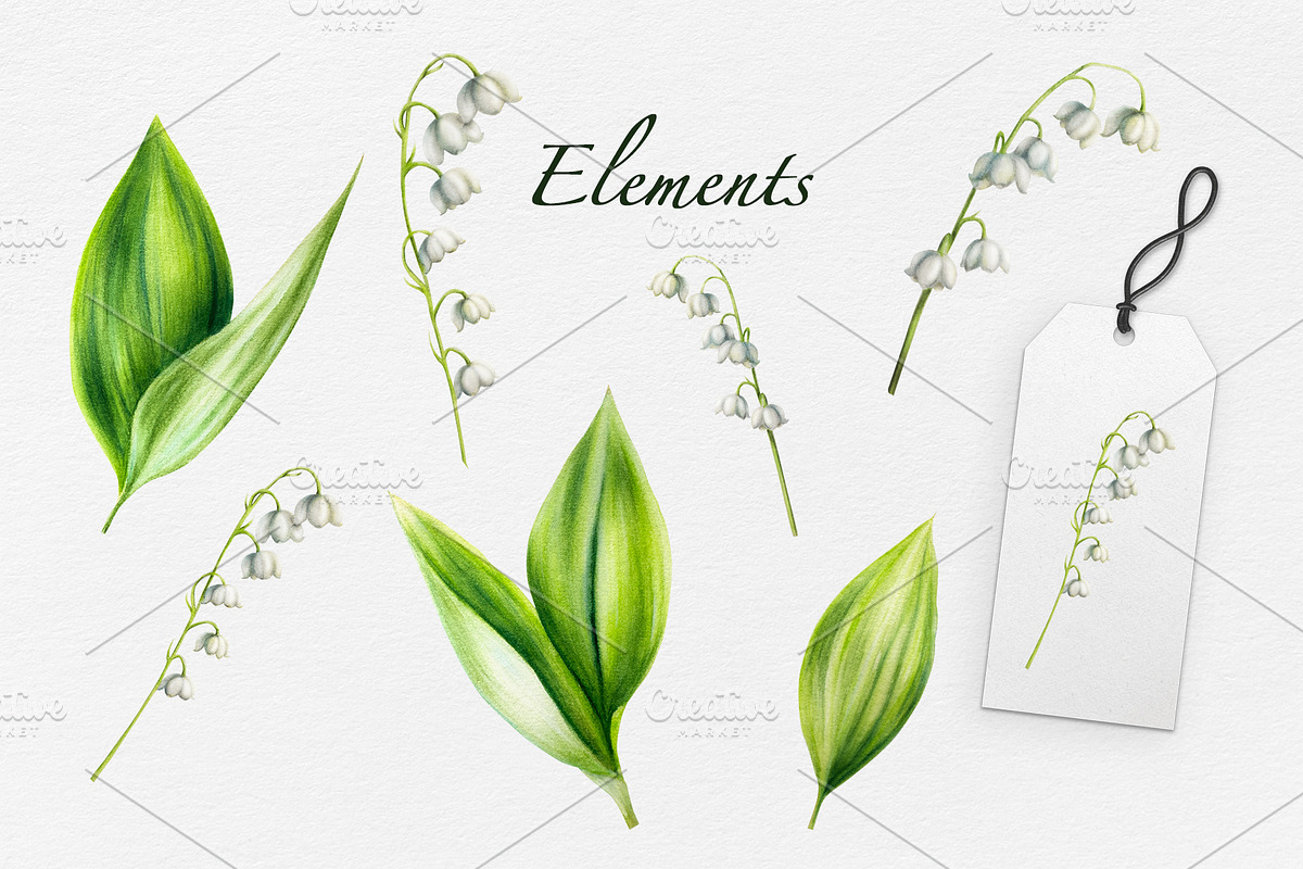Lily of the valley watercolor, an Object Illustration by Navenzeles (Photo 4 of 10)