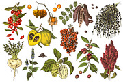 Natural food BUNDLE, a Food Illustration by handsketched (Thumbnail 23 of 26)