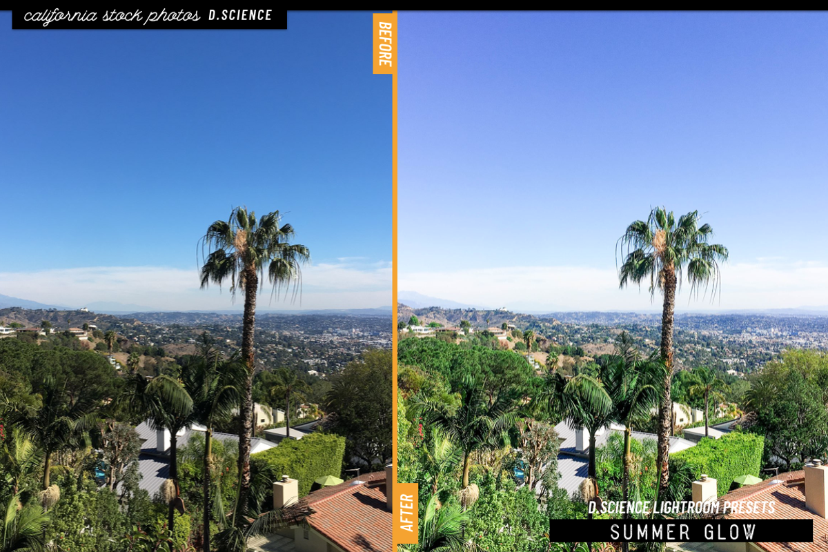 200+ California Stock Photo Bundle, a Business Photo by Template Monkey @dscience (Photo 30 of 38)